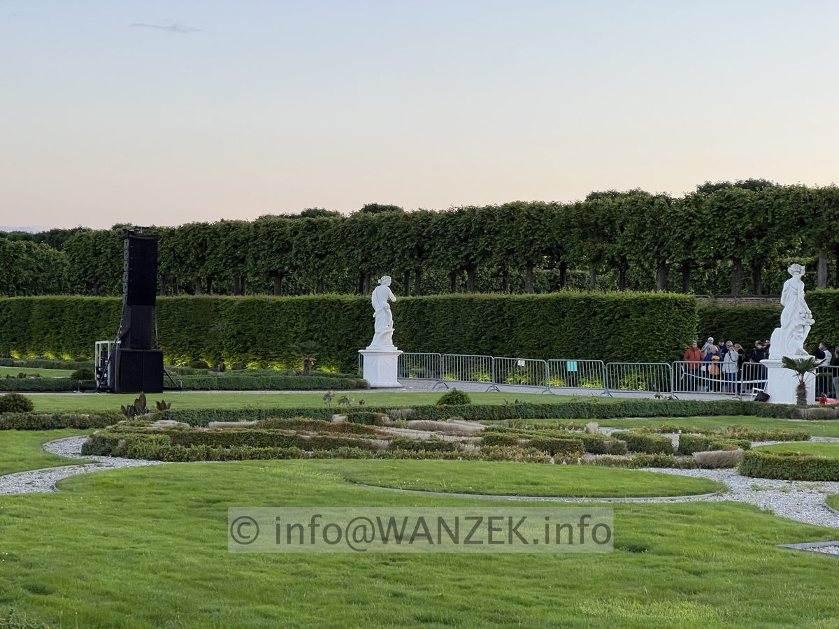 Buxus sempervirens Suffruticosa - in Herrenhausen.jpg